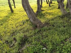 -王府井百货熙地港店