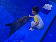 -华夏文旅海洋公园