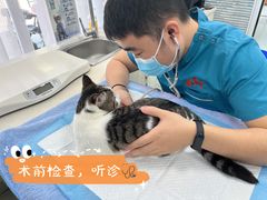 -美美宠物诊疗中心·异宠·骨科(滨江东信分院)