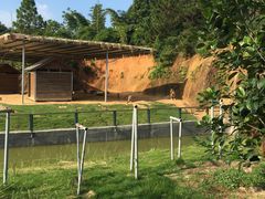 -泉州海丝野生动物世界