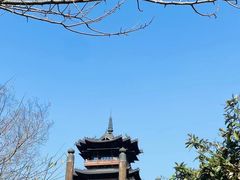 -杭州半山国家森林公园