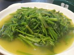 android_upload_pic-四季园农家乐