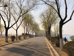 -丁香湖公园