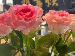 -都氏家DUSJOY(翡翠城店)