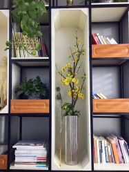 -酉嘉瑜伽YO+YOGA