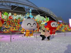 -沈阳奥体冰雪嘉年华