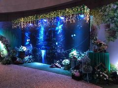 宴会厅-武汉马哥孛罗酒店