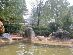 -大理地热国