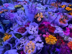 -花鸟鱼虫鲜花绿植市场(玉泉路店)