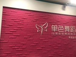 -单色舞蹈