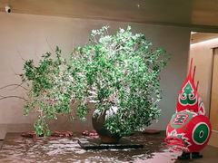 -隐溪茶馆(静安寺店)