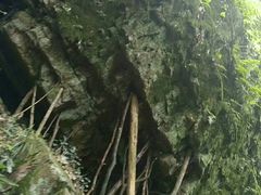 -九华秋浦胜境大王洞风景区