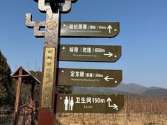 -清东陵