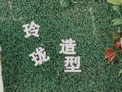 -玲珑造型·发型新势力