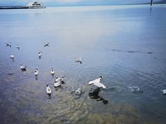 -青海湖二郎剑景区