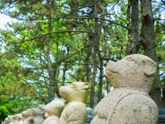 -海东龙宫寺