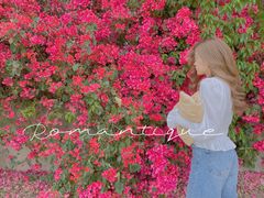 -厦门国家会计学院