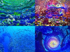 -海合安天津极地海洋公园