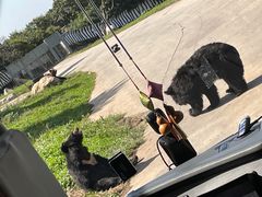 -西安秦岭野生动物园