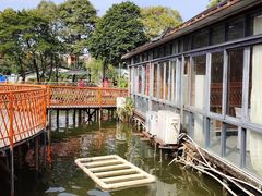 -陶缘一号·四季缘·老字号顺德菜·户外婚礼家宴(西滘店)