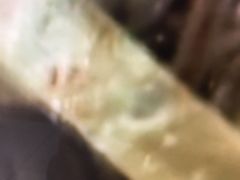 -纯阳馆鱼香排骨面(东二道街店)