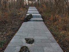 -南京金牛湖风景区