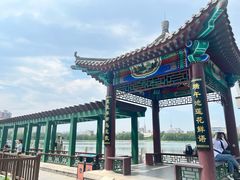 -莲花池公园