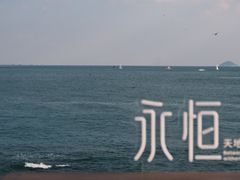 -燕儿岛山公园