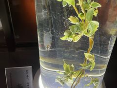 -广东中医药博物馆
