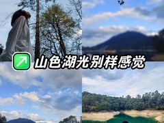 -广州市流溪河国家森林公园