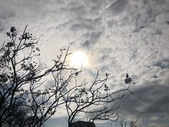 -东部华侨城