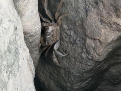 -上海吴淞炮台湾国家湿地公园