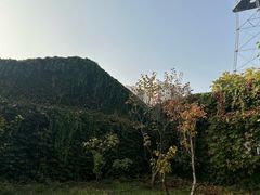 -月坛公园