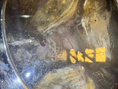 -大锅强·蒸海鲜青岛菜(吾悦广场店)