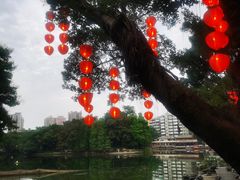 -荔湾湖公园