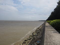 -大湾区中央湿地公园