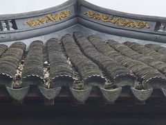 -叶家花园