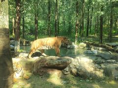 -北京野生动物园