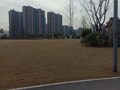 -游心咖啡(青山滨江店)