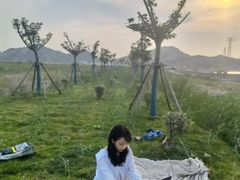 -洋山深水港