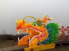 -空港花田景区