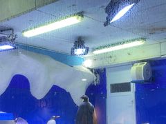 -南京海底世界