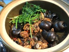 -食爺炭炉鸡煲·烧烤