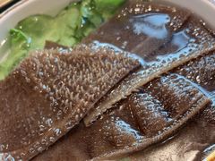 -小天鹅火锅·一线江景洪鼎旗舰店(洪崖洞店)