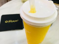 -NOBiBi