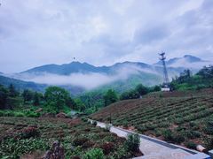 -水墨汀溪风景区