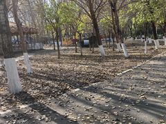 -长白岛森林公园