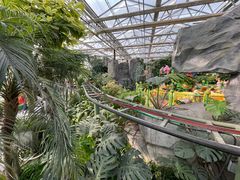 -南宫五洲植物乐园