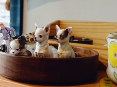 -Joymean coffee.见面咖啡