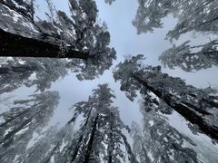 -瓦屋山景区